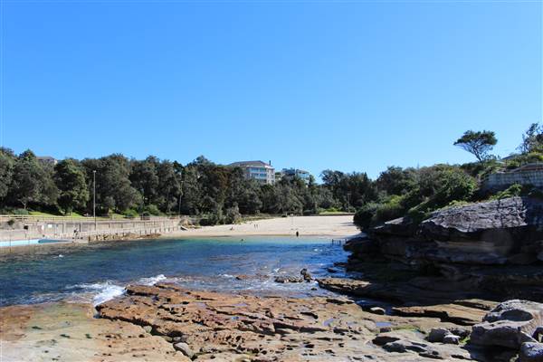 Clovelly Beach (7/07/2014)