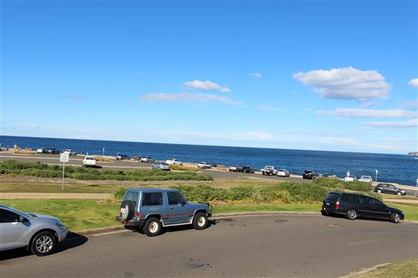 Clovelly Beach (7/07/2014)