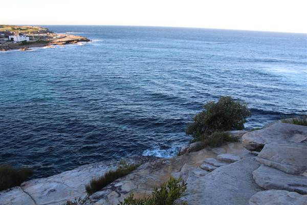 Dunningham Reserve Coogee (9/07/2014 - Credits: Jeremy Peek)