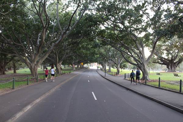 The Domain - Royal Botanic Garden Sydney (24/10/2014)