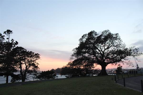 Mrs. Macquarie's Point - Royal Botanic Garden Sydney (24/10/2014)