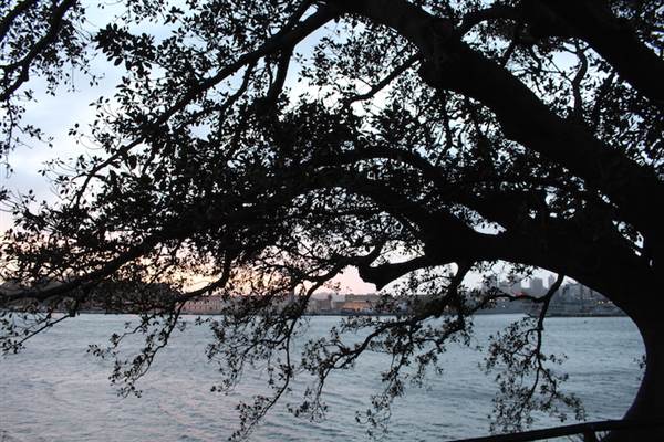 Mrs. Macquarie's Point - Royal Botanic Garden Sydney (24/10/2014)