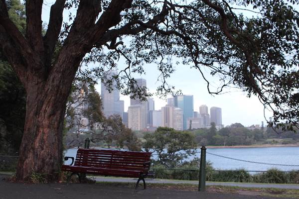 Mrs. Macquarie's Point - Royal Botanic Garden Sydney (24/10/2014)