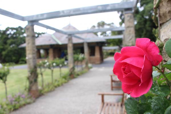 Rose Garden & Pavilion - Royal Botanic Garden Sydney (24/10/2014)