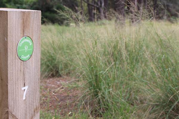 Centennial Park - Ash Paddock (24/10/2014)