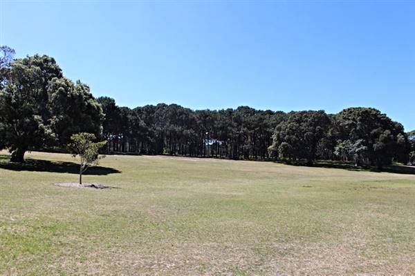 Centennial Park - Brazilian Fields (24/10/2014)