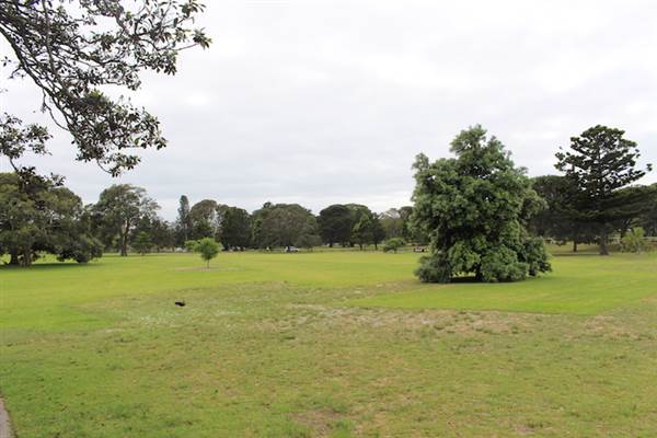 Centennial Park - Church Grounds (24/10/2014)
