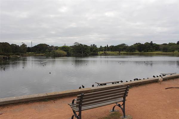 Centennial Park - Duck Pond (24/10/2014)