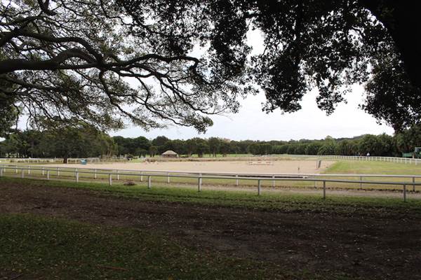 Centennial Park - Equestrian Grounds (24/10/2014)