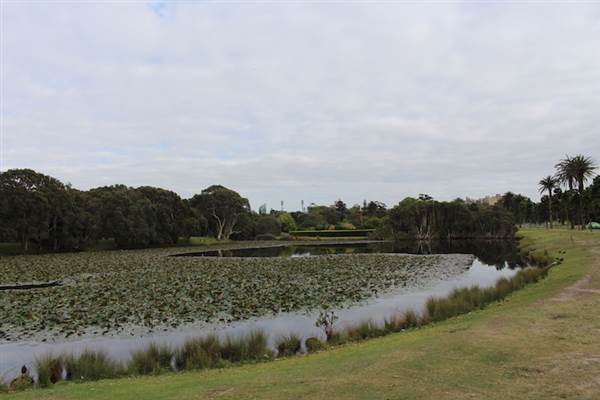 Centennial Park - Lachlan Reserve (24/10/2014)