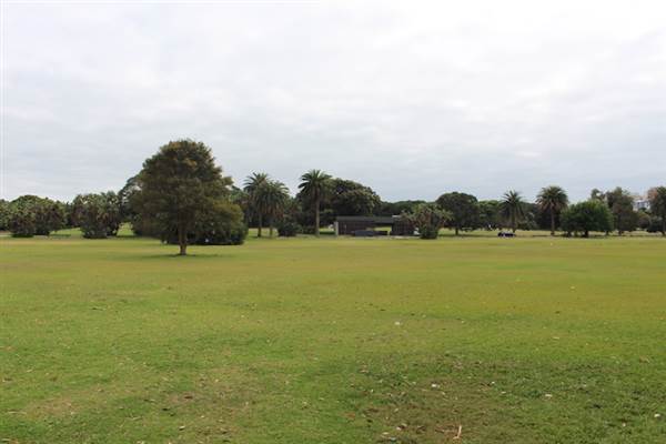 Centennial Park - Lachlan Reserve (24/10/2014)