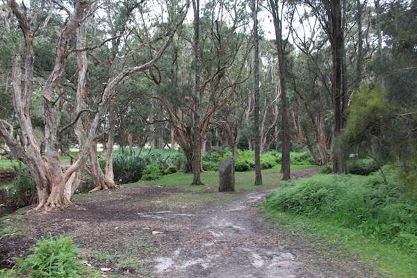 Centennial Park - Lachlan Swamp (24/10/2014)