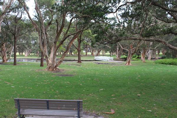 Centennial Park - Lachlan Swamp (24/10/2014)