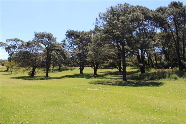 Centennial Park - Parade Grounds (24/10/2014)