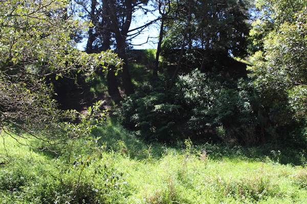 Centennial Park - Sandstone Ridge (24/10/2014)