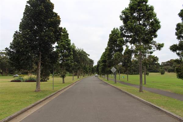 Centennial Park - Frog Hollow (24/10/2014)
