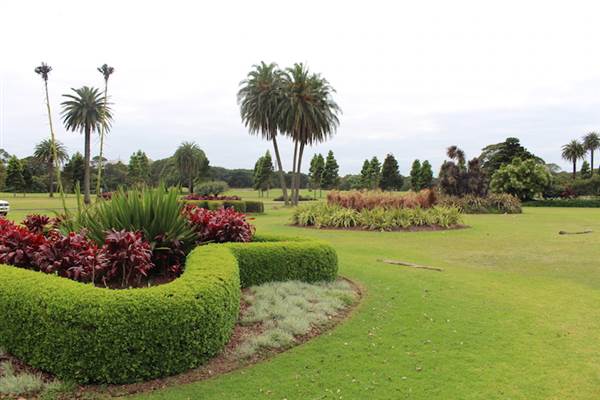 Centennial Park - Frog Hollow (24/10/2014)