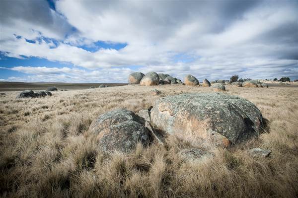 Monaro Plains (14/11/2014 - Credits: Colin McDougall)