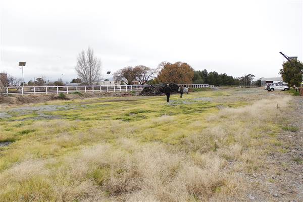 Coolamon Station (16/12/2014)
