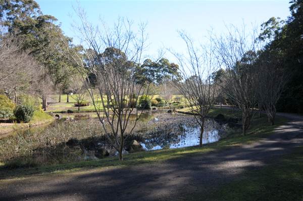 Fagan Park (24/02/2015 - Credits: Phillip Roope)