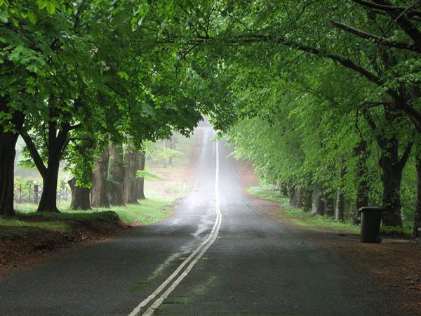 Mount Wilson Roads (24/02/2015 - Credits: Phillip Roope)