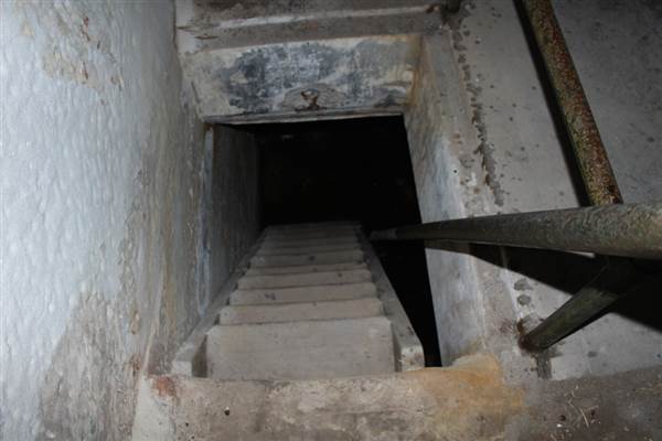 Middle Head Fortifications (13/03/2015)