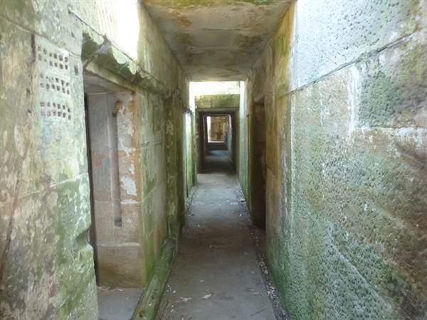 Middle Head Fortifications (13/03/2015)