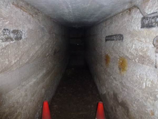 Middle Head Fortifications (13/03/2015)