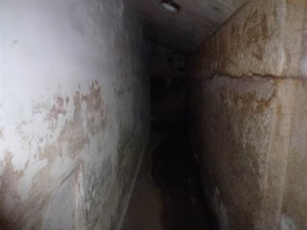 Middle Head Fortifications (13/03/2015)