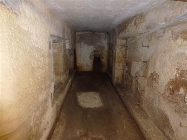 Middle Head Fortifications (13/03/2015)