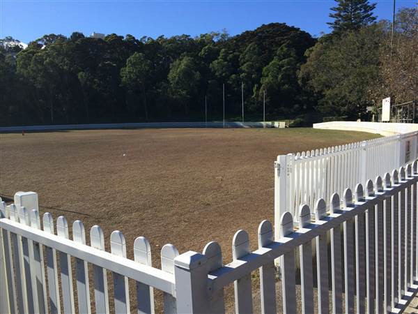 Trumper Oval (7/06/2014 - Credits: Shannon Wheeler)