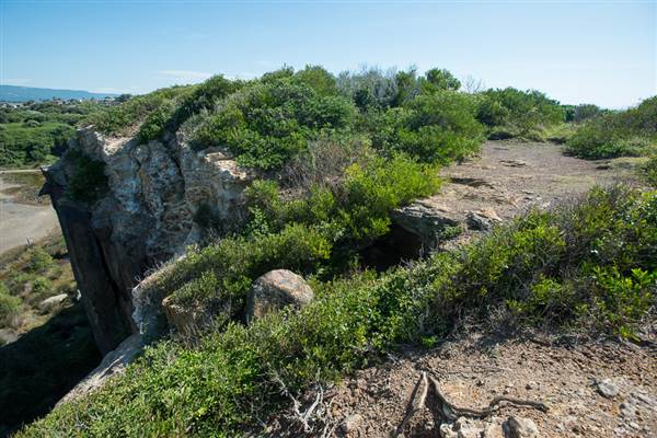 Bombo Headland Quarry (30/04/2015 - Credits: Colin McDougall)
