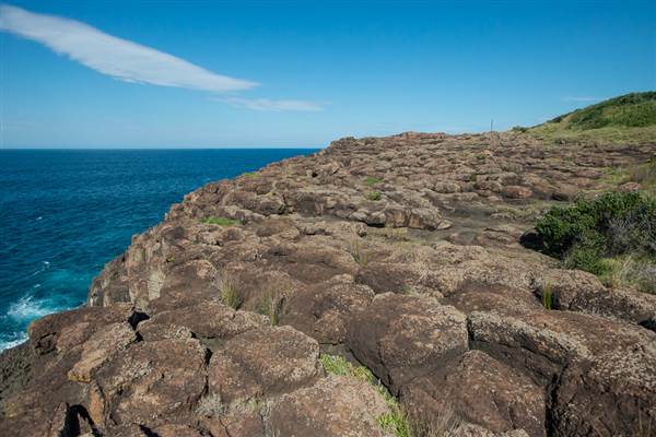 Bombo Headland Quarry (30/04/2015 - Credits: Colin McDougall)