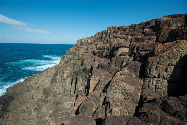 Bombo Headland Quarry (30/04/2015 - Credits: Colin McDougall)