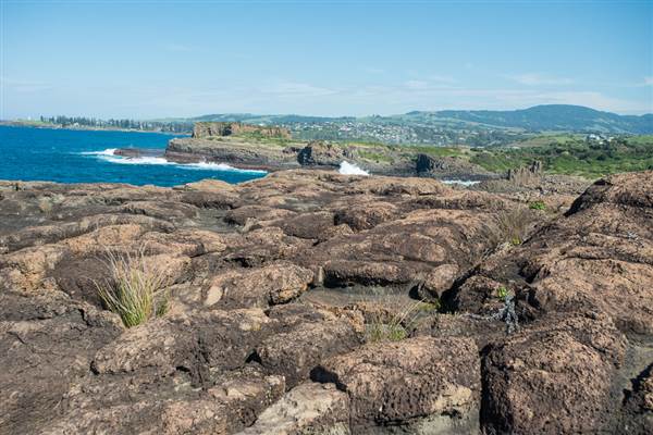 Bombo Headland Quarry (30/04/2015 - Credits: Colin McDougall)