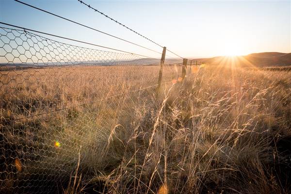 Monaro Plains (20/06/2015 - Credits: Colin McDougall)