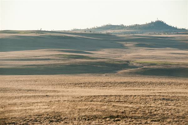 Monaro Plains (20/06/2015 - Credits: Colin McDougall)