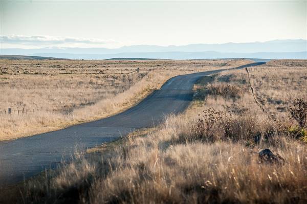 Monaro Plains (20/06/2015 - Credits: Colin McDougall)