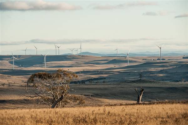 Boco Rock Wind Farm (24/07/2015)