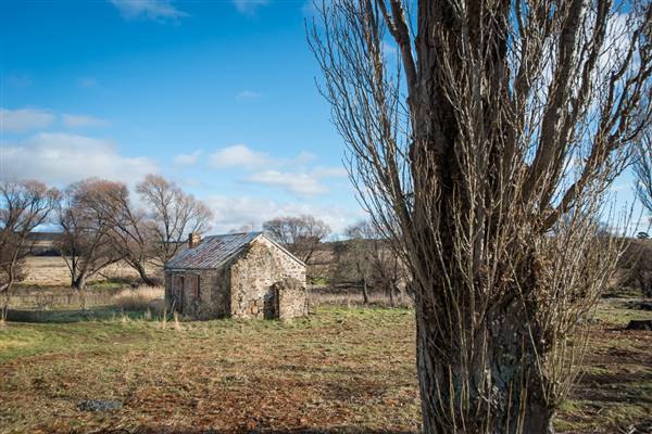 Nimmitabel Cottage (24/07/2015)