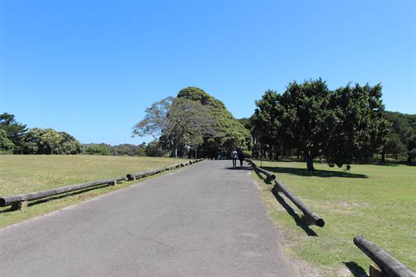 Centennial Park - Loch Ave South (24/10/2014)