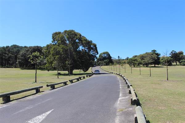 Centennial Park - Loch Ave South (24/10/2014)