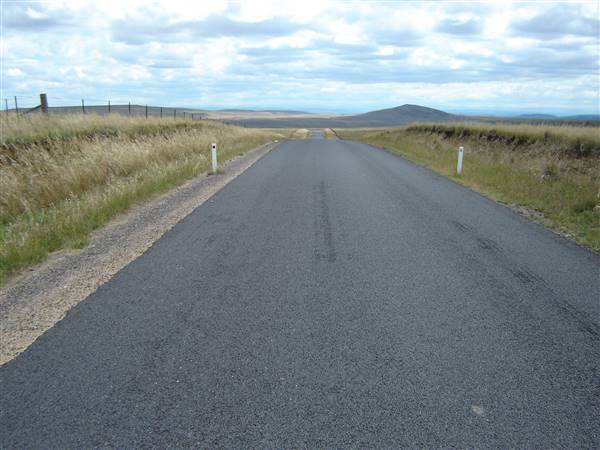 Monaro Plains - Summer (1/02/2005 - Credits: Colin McDougall)