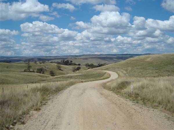 Monaro Plains - Summer (1/02/2005 - Credits: Colin McDougall)