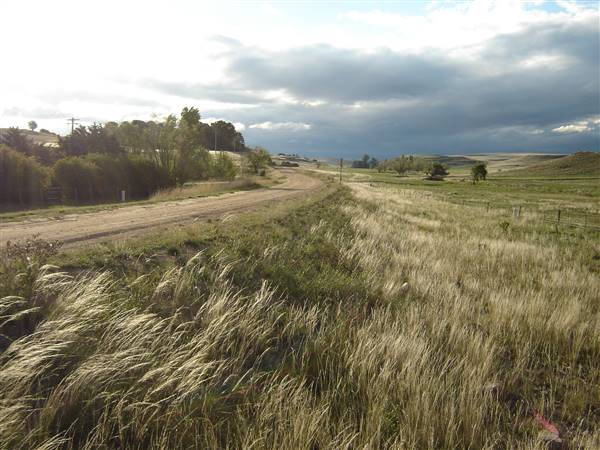 Monaro Plains (1/02/2005 - Credits: Colin McDougall)