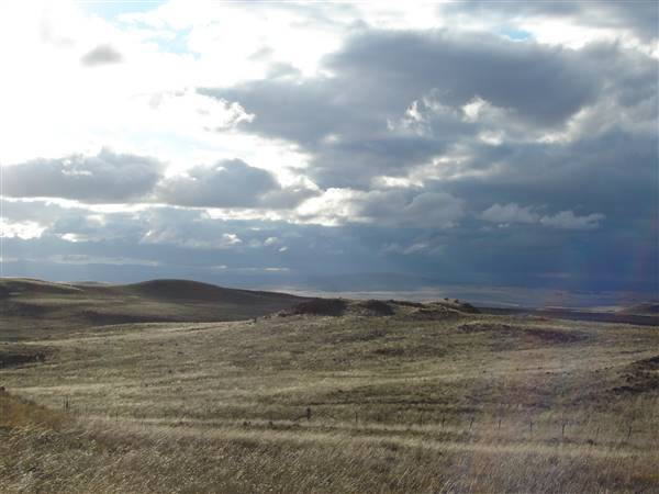 Monaro Plains (1/02/2005 - Credits: Colin McDougall)