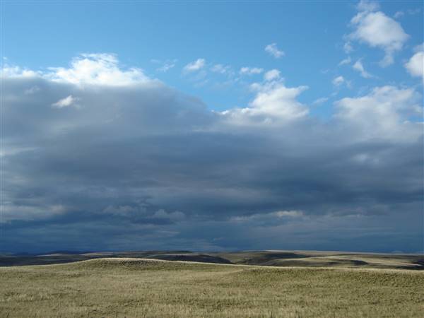 Monaro Plains (1/02/2005 - Credits: Colin McDougall)
