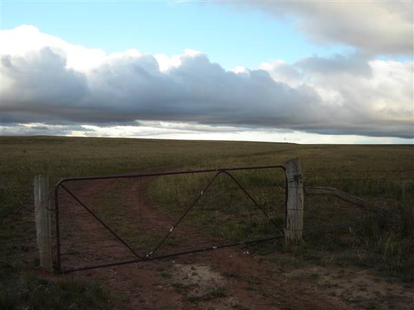 Monaro Plains (1/02/2014 - Credits: Colin McDougall)