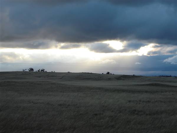 Monaro Plains (1/02/2014 - Credits: Colin McDougall)