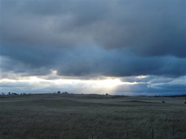 Monaro Plains (1/02/2014 - Credits: Colin McDougall)